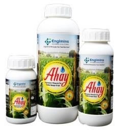 Engimins AHAY