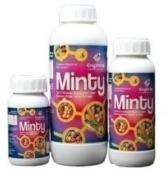 Engimins MINTY