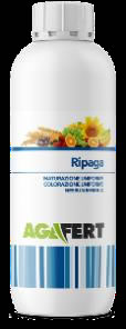 Ripaga
