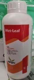 WET LEAF