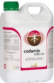 Codamin Radicular