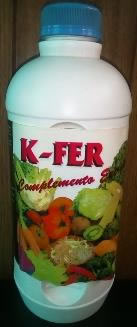 K-FER