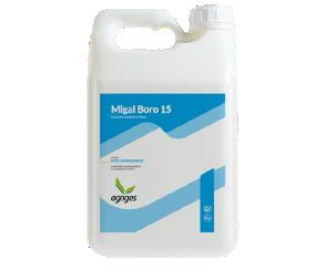 MIGAL BORO 15