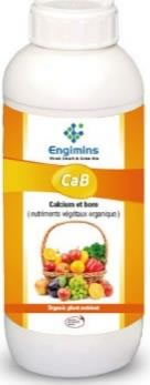 ENGIMINS CaB