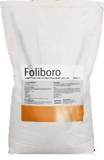 Foliboro